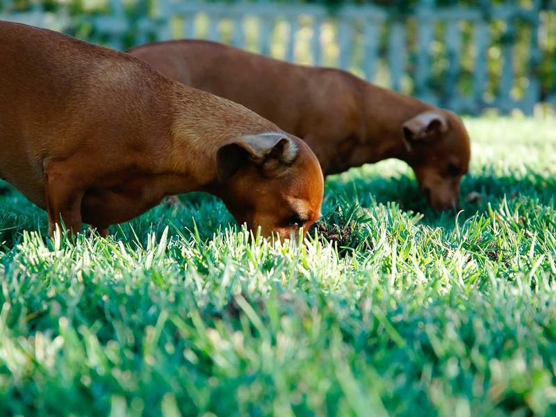 sudoku solution check screenshot 5